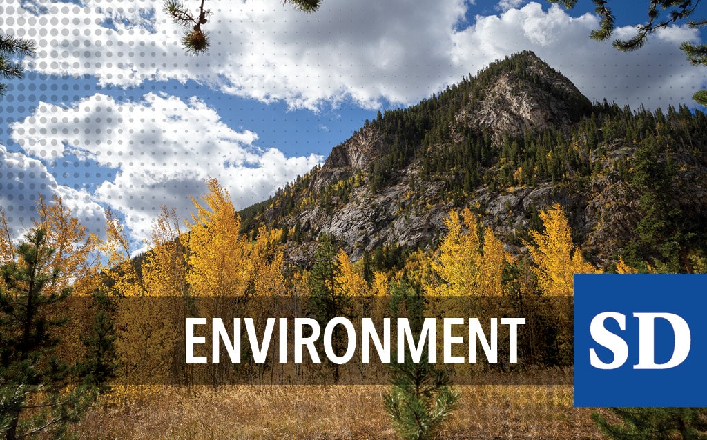 Forest Service invests over $2 million to restore forests and reduce wildfire risk in Colorado, South Dakota and Wyoming - Vimarsana News